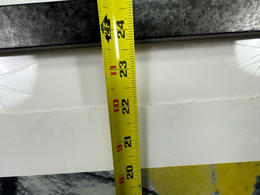 Peter Campus (b. 1947, America) A Spider Waits Archival Iris Limited Edition Print 32W X 22H Framed 38W X 28H [Photo 9]