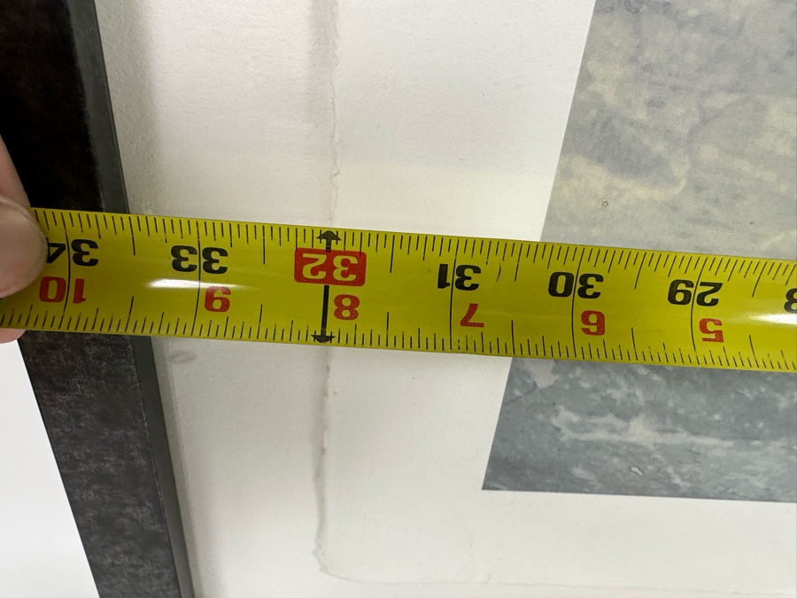 Peter Campus (b. 1947, America) A Spider Waits Archival Iris Limited Edition Print 32W X 22H Framed 38W X 28H [Photo 8]