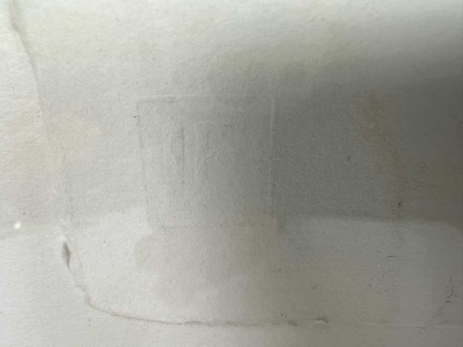 Peter Campus (b. 1947, America) A Spider Waits Archival Iris Limited Edition Print 32W X 22H Framed 38W X 28H [Photo 6]