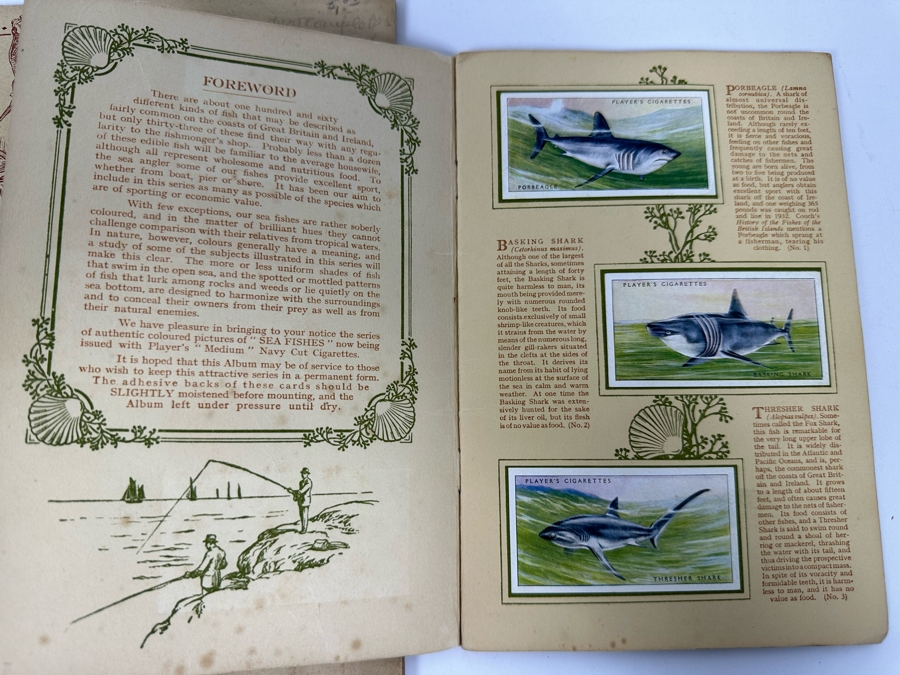 John Player & Sons Great Britain Cigarette Cards: Aircraft Of The Royal Air Force (Complete), Sea Fishes (Missing Several) And Tennis (Incomplete) - See Photos [Photo 6]
