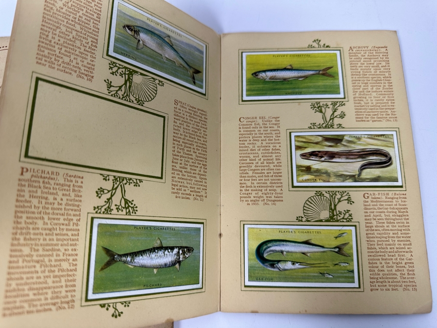 John Player & Sons Great Britain Cigarette Cards: Aircraft Of The Royal Air Force (Complete), Sea Fishes (Missing Several) And Tennis (Incomplete) - See Photos [Photo 8]