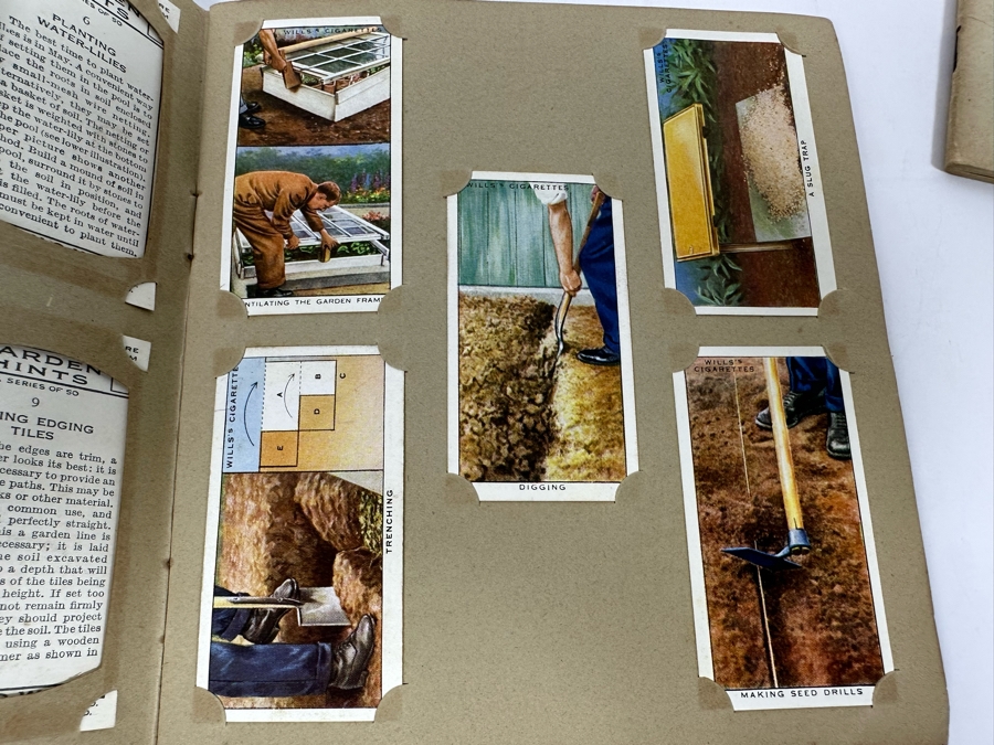 Wills's Cigarette Cards: Garden Hints (Complete 50 Cards) And Wild Flowers (Incomplete) - See Photos [Photo 7]
