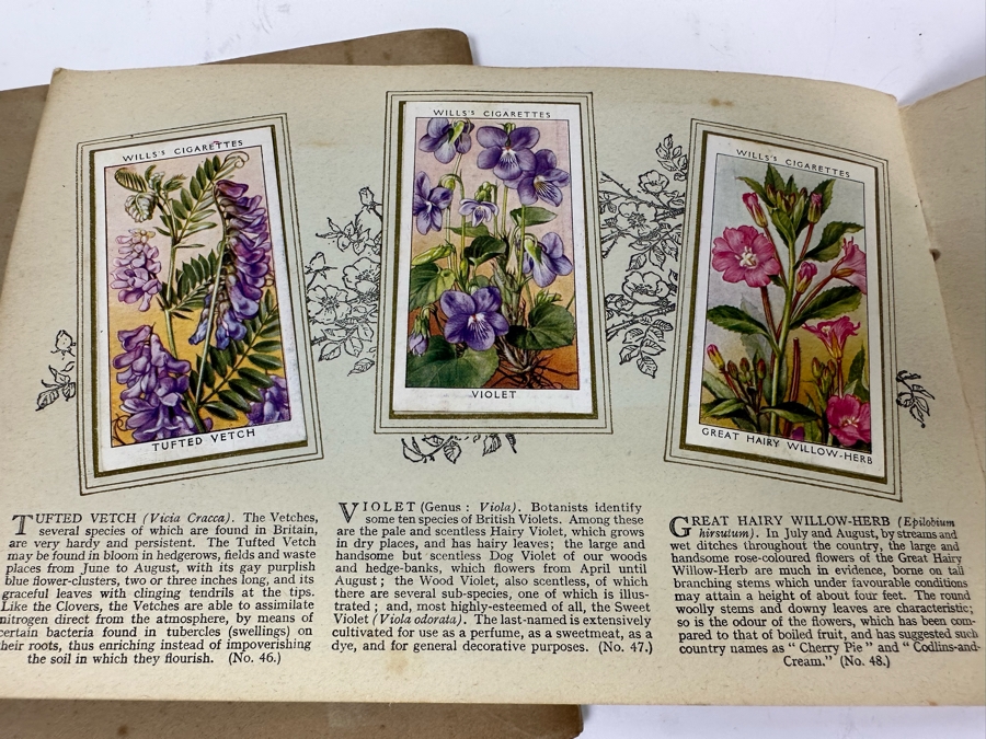 Wills's Cigarette Cards: Garden Hints (Complete 50 Cards) And Wild Flowers (Incomplete) - See Photos [Photo 30]