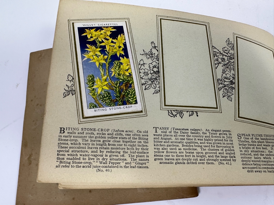 Wills's Cigarette Cards: Garden Hints (Complete 50 Cards) And Wild Flowers (Incomplete) - See Photos [Photo 28]