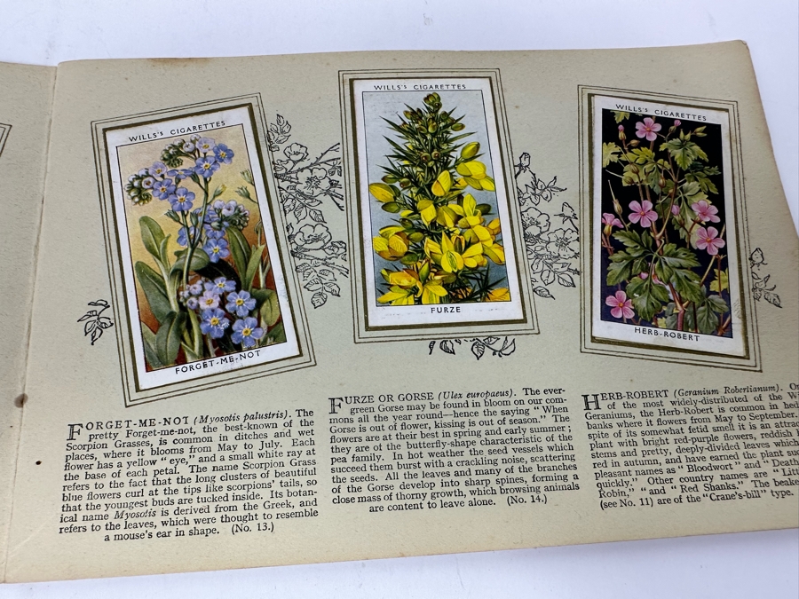 Wills's Cigarette Cards: Garden Hints (Complete 50 Cards) And Wild Flowers (Incomplete) - See Photos [Photo 20]