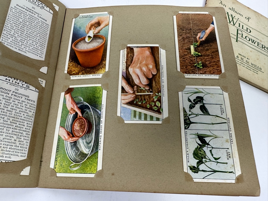 Wills's Cigarette Cards: Garden Hints (Complete 50 Cards) And Wild Flowers (Incomplete) - See Photos [Photo 13]