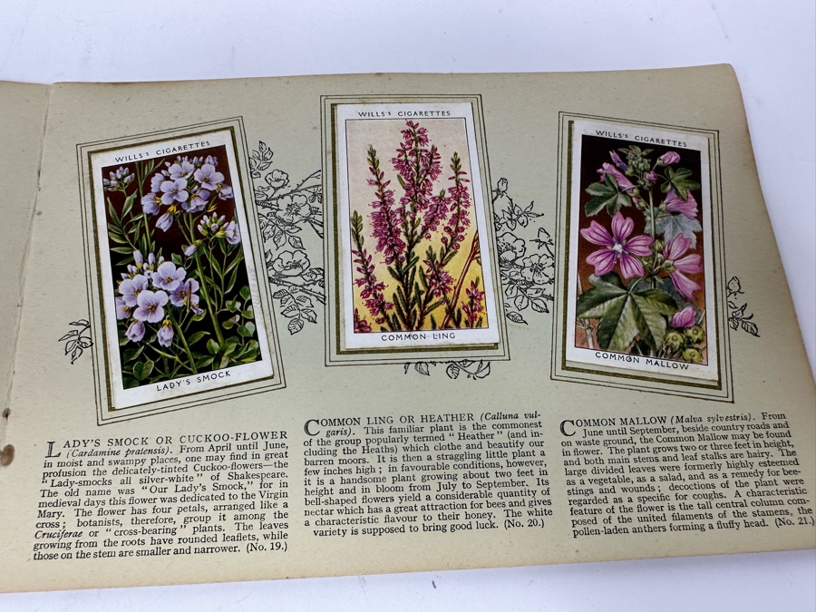 Wills's Cigarette Cards: Garden Hints (Complete 50 Cards) And Wild Flowers (Incomplete) - See Photos [Photo 22]