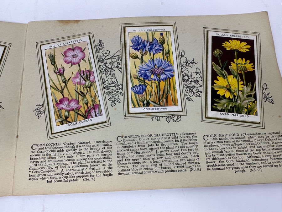 Wills's Cigarette Cards: Garden Hints (Complete 50 Cards) And Wild Flowers (Incomplete) - See Photos [Photo 18]