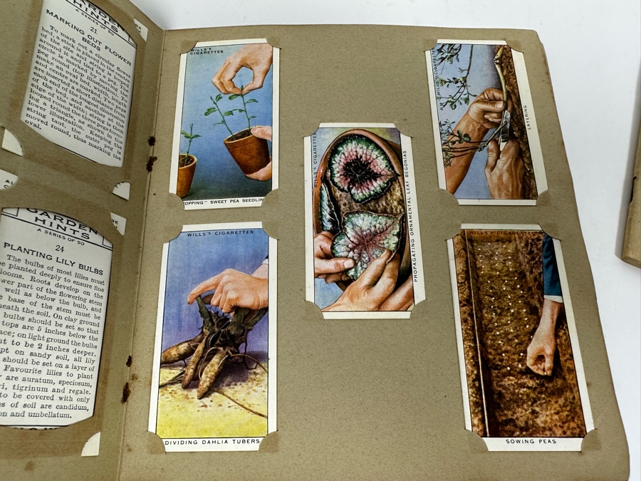 Wills's Cigarette Cards: Garden Hints (Complete 50 Cards) And Wild Flowers (Incomplete) - See Photos [Photo 10]