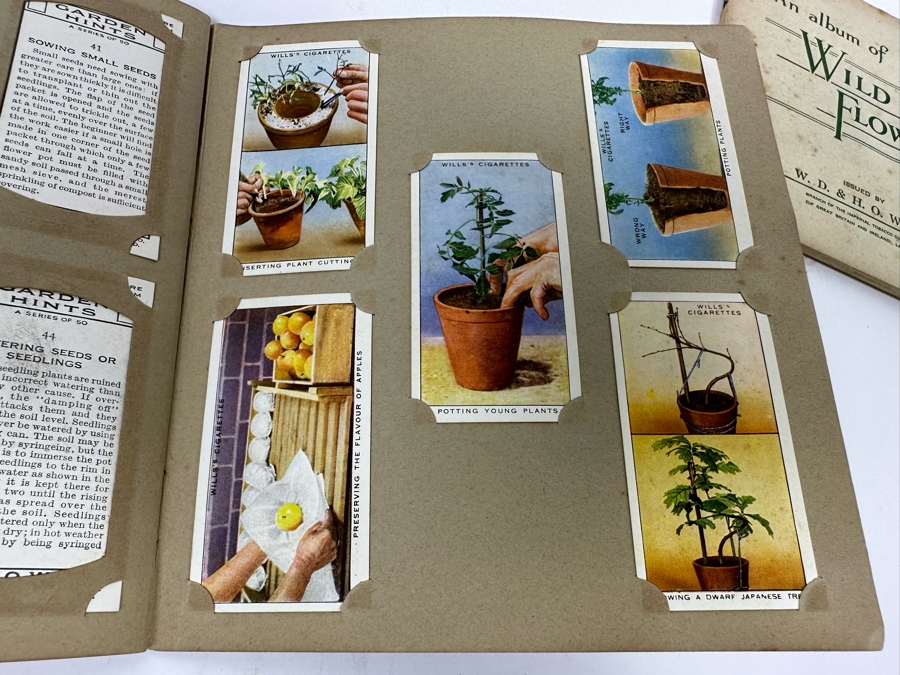 Wills's Cigarette Cards: Garden Hints (Complete 50 Cards) And Wild Flowers (Incomplete) - See Photos [Photo 14]