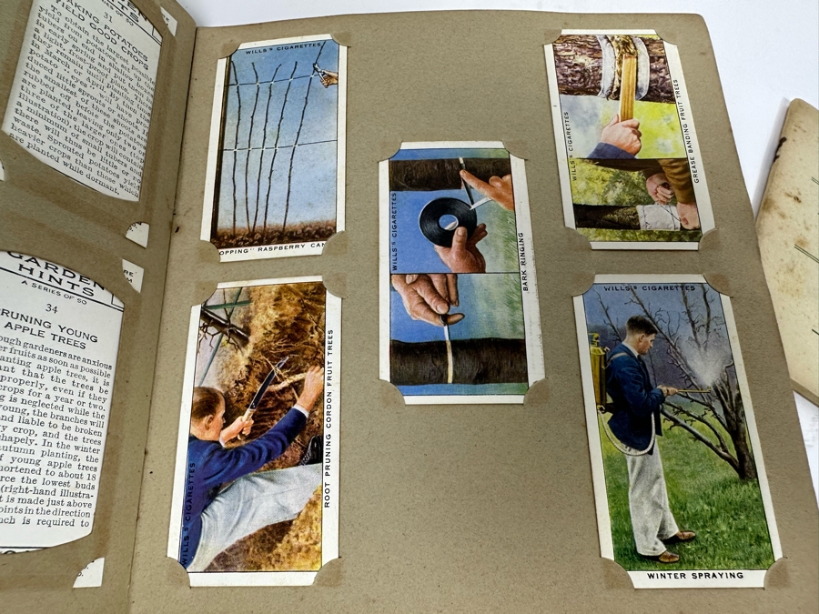 Wills's Cigarette Cards: Garden Hints (Complete 50 Cards) And Wild Flowers (Incomplete) - See Photos [Photo 12]