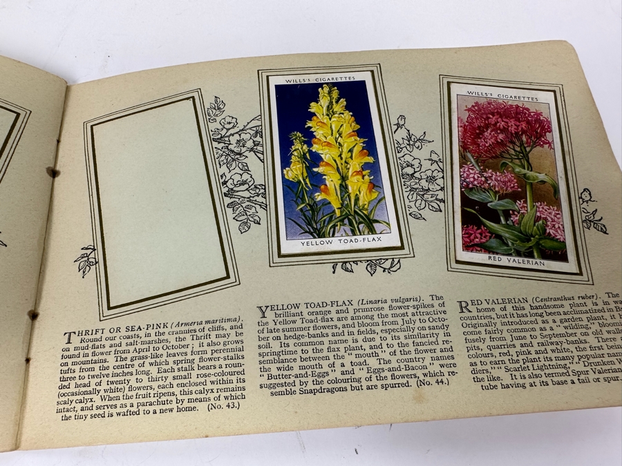 Wills's Cigarette Cards: Garden Hints (Complete 50 Cards) And Wild Flowers (Incomplete) - See Photos [Photo 29]