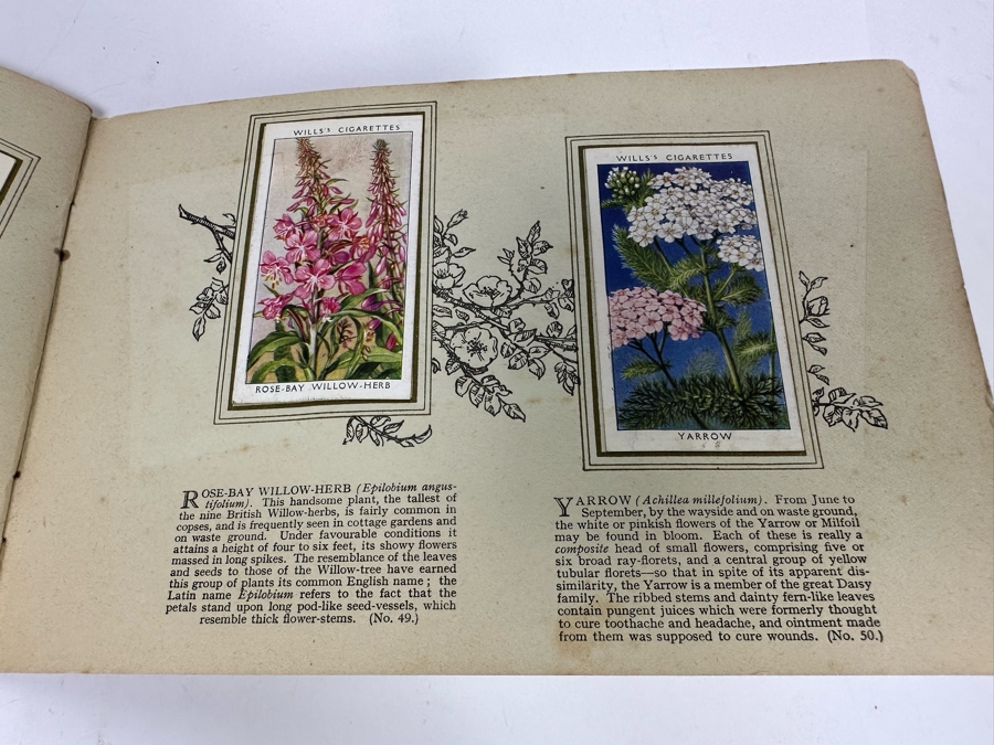 Wills's Cigarette Cards: Garden Hints (Complete 50 Cards) And Wild Flowers (Incomplete) - See Photos [Photo 31]