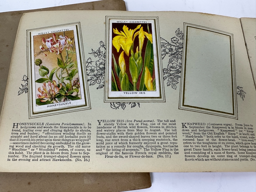 Wills's Cigarette Cards: Garden Hints (Complete 50 Cards) And Wild Flowers (Incomplete) - See Photos [Photo 21]