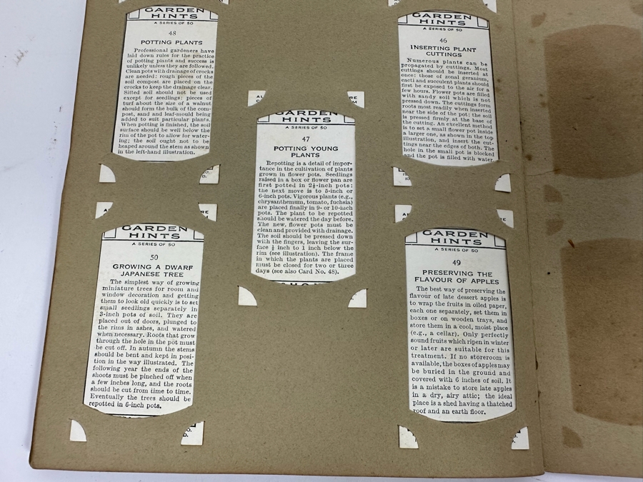 Wills's Cigarette Cards: Garden Hints (Complete 50 Cards) And Wild Flowers (Incomplete) - See Photos [Photo 15]