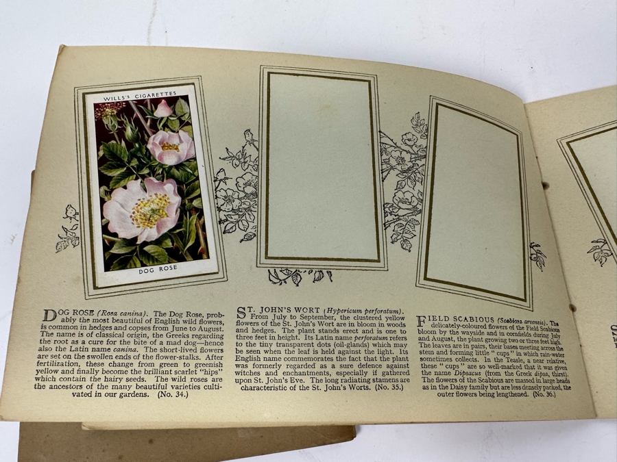Wills's Cigarette Cards: Garden Hints (Complete 50 Cards) And Wild Flowers (Incomplete) - See Photos [Photo 27]
