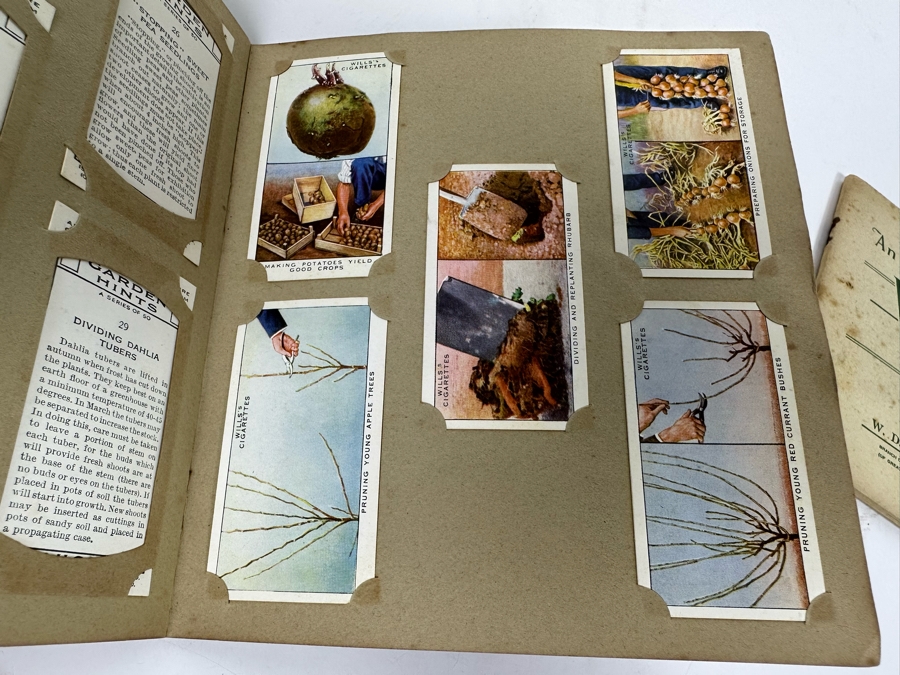 Wills's Cigarette Cards: Garden Hints (Complete 50 Cards) And Wild Flowers (Incomplete) - See Photos [Photo 11]
