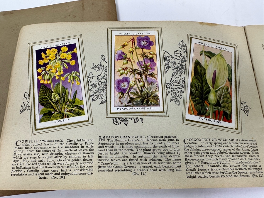 Wills's Cigarette Cards: Garden Hints (Complete 50 Cards) And Wild Flowers (Incomplete) - See Photos [Photo 19]