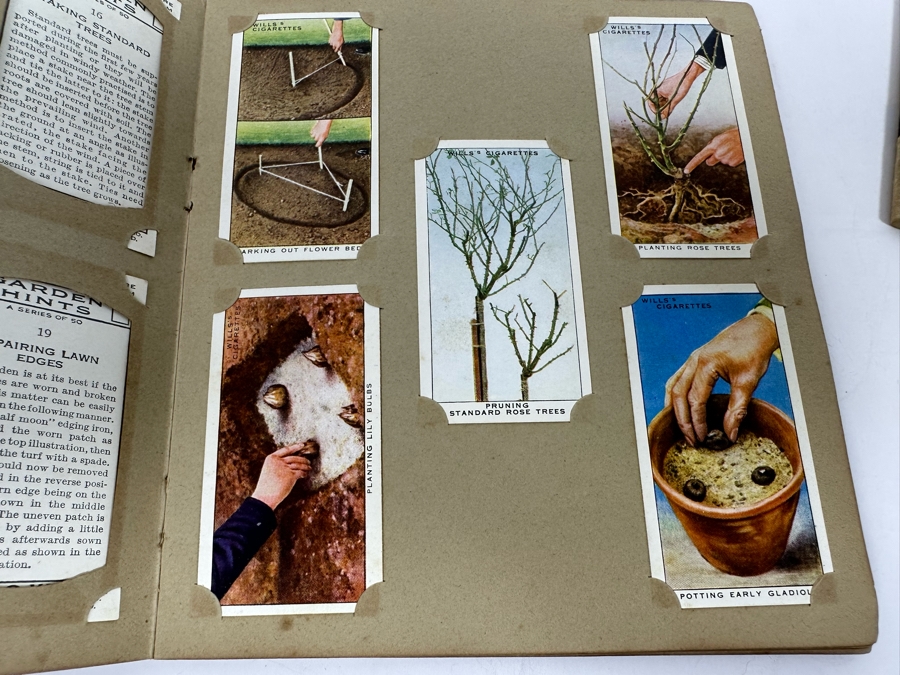 Wills's Cigarette Cards: Garden Hints (Complete 50 Cards) And Wild Flowers (Incomplete) - See Photos [Photo 9]