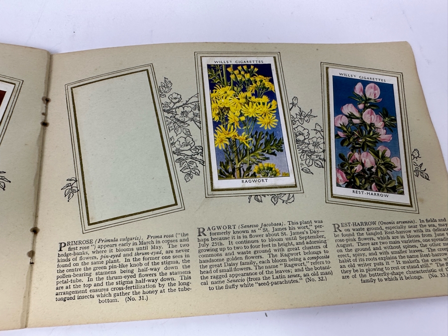 Wills's Cigarette Cards: Garden Hints (Complete 50 Cards) And Wild Flowers (Incomplete) - See Photos [Photo 26]