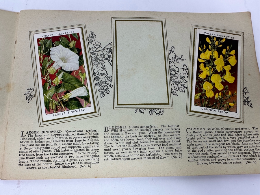 Wills's Cigarette Cards: Garden Hints (Complete 50 Cards) And Wild Flowers (Incomplete) - See Photos [Photo 16]