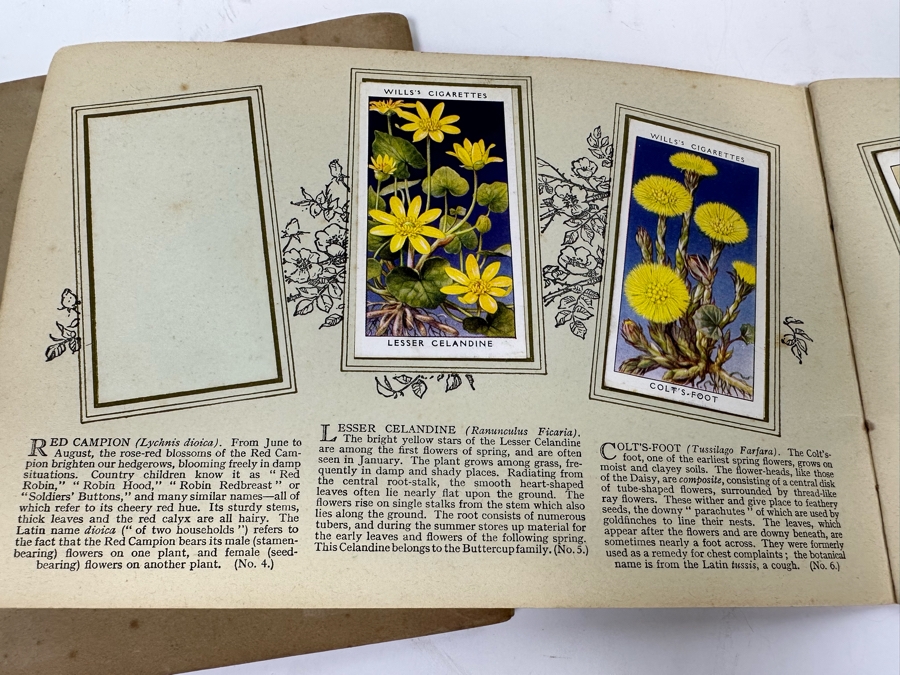 Wills's Cigarette Cards: Garden Hints (Complete 50 Cards) And Wild Flowers (Incomplete) - See Photos [Photo 17]