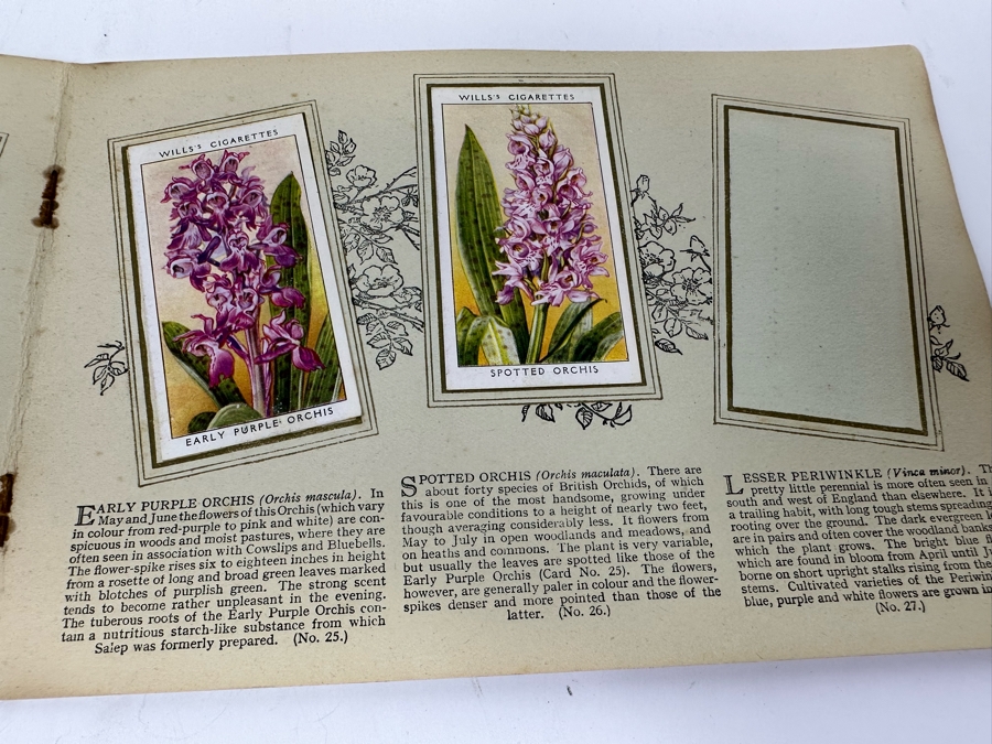 Wills's Cigarette Cards: Garden Hints (Complete 50 Cards) And Wild Flowers (Incomplete) - See Photos [Photo 24]
