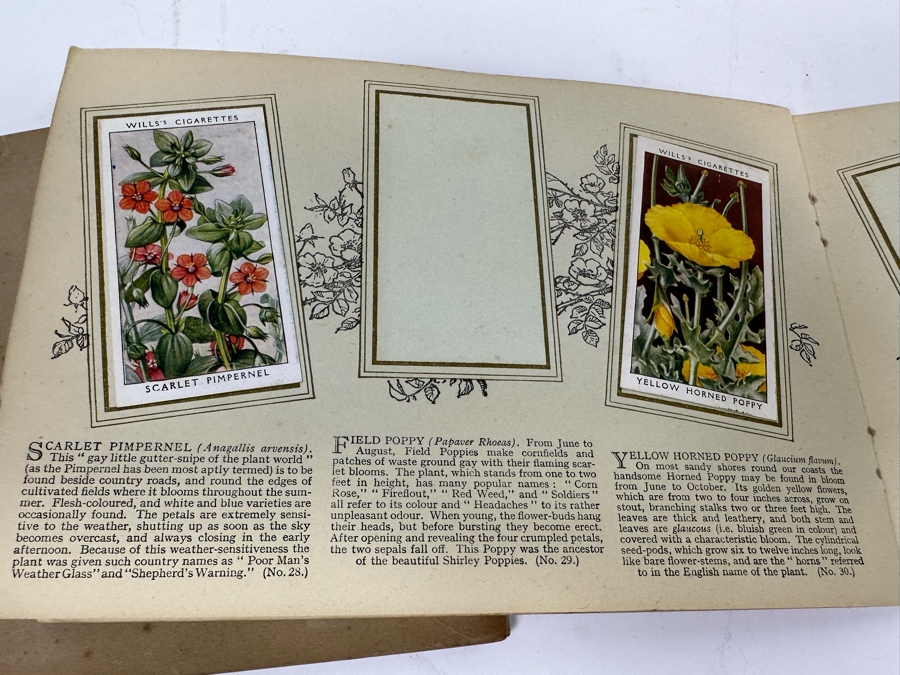 Wills's Cigarette Cards: Garden Hints (Complete 50 Cards) And Wild Flowers (Incomplete) - See Photos [Photo 25]