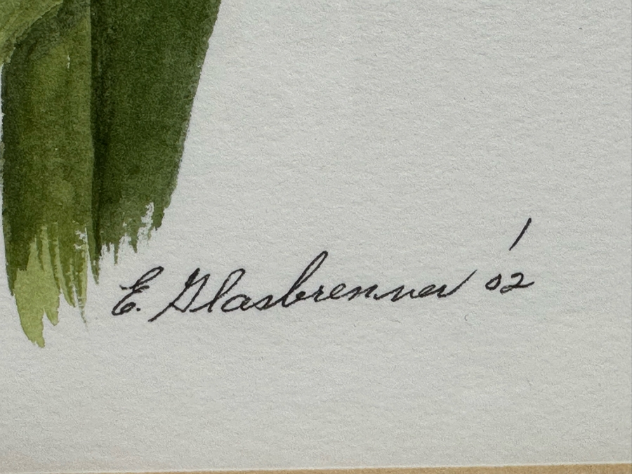 Edna Glasbrenner Original Watercolor Painting On Paper Of Orchids 11 X 15 Framed 18 X 22 [Photo 10]