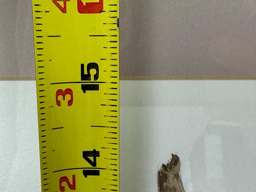 Edna Glasbrenner Original Watercolor Painting On Paper Of Orchids 11 X 15 Framed 18 X 22 [Photo 12]