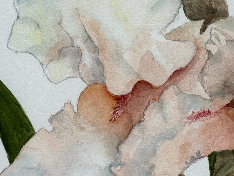 Edna Glasbrenner Original Watercolor Painting On Paper Of Orchids 11 X 15 Framed 18 X 22 [Photo 9]