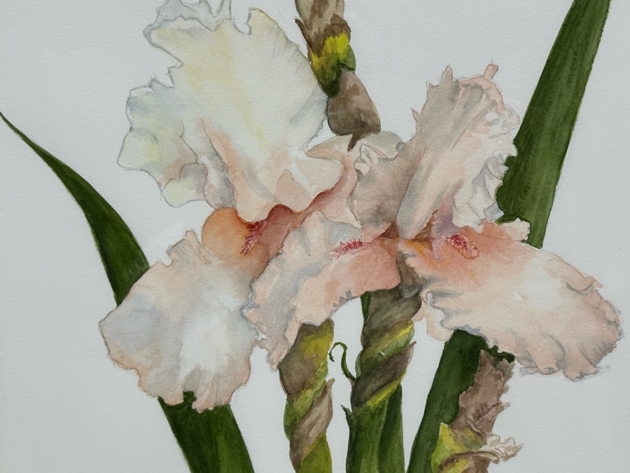 Edna Glasbrenner Original Watercolor Painting On Paper Of Orchids 11 X 15 Framed 18 X 22 [Photo 6]