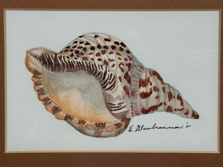Edna Glasbrenner Original Watercolor Painting On Paper Of Seashell 6 X 4 Framed 13 X 11 [Photo 3]