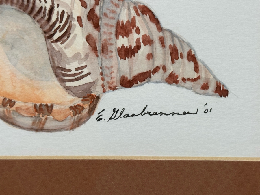 Edna Glasbrenner Original Watercolor Painting On Paper Of Seashell 6 X 4 Framed 13 X 11 [Photo 4]