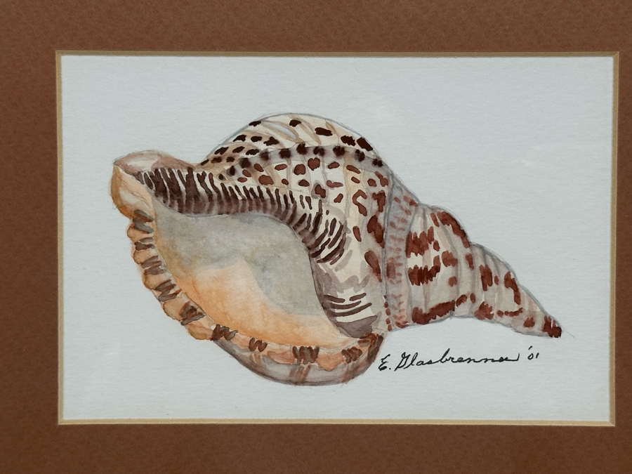 Edna Glasbrenner Original Watercolor Painting On Paper Of Seashell 6 X 4 Framed 13 X 11 [Photo 2]