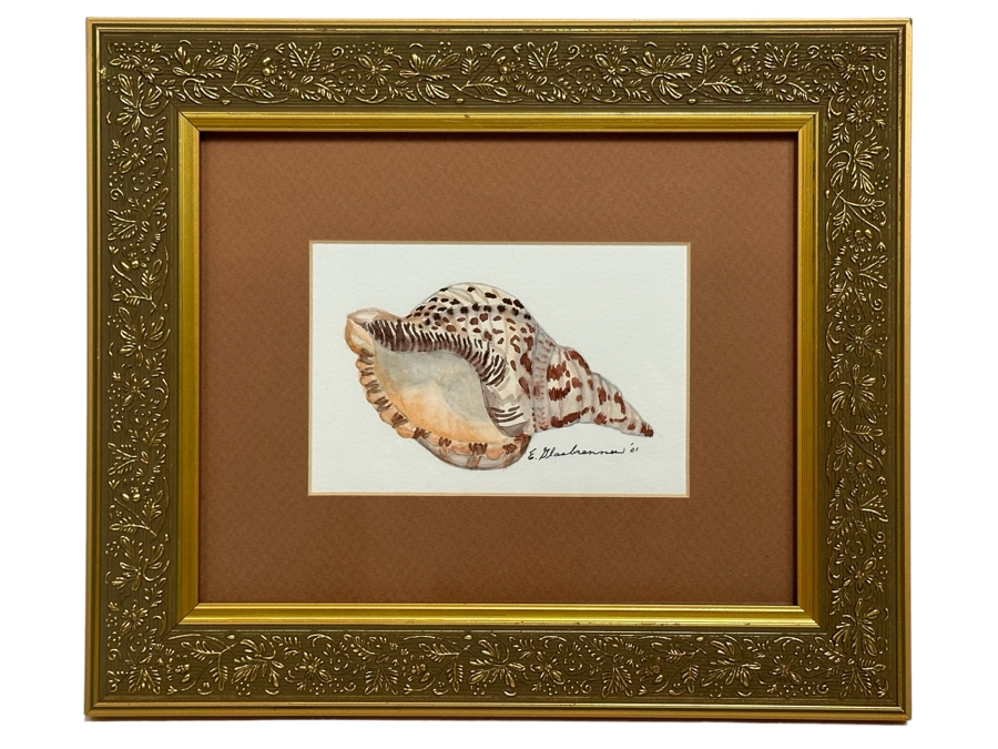 Edna Glasbrenner Original Watercolor Painting On Paper Of Seashell 6 X 4 Framed 13 X 11