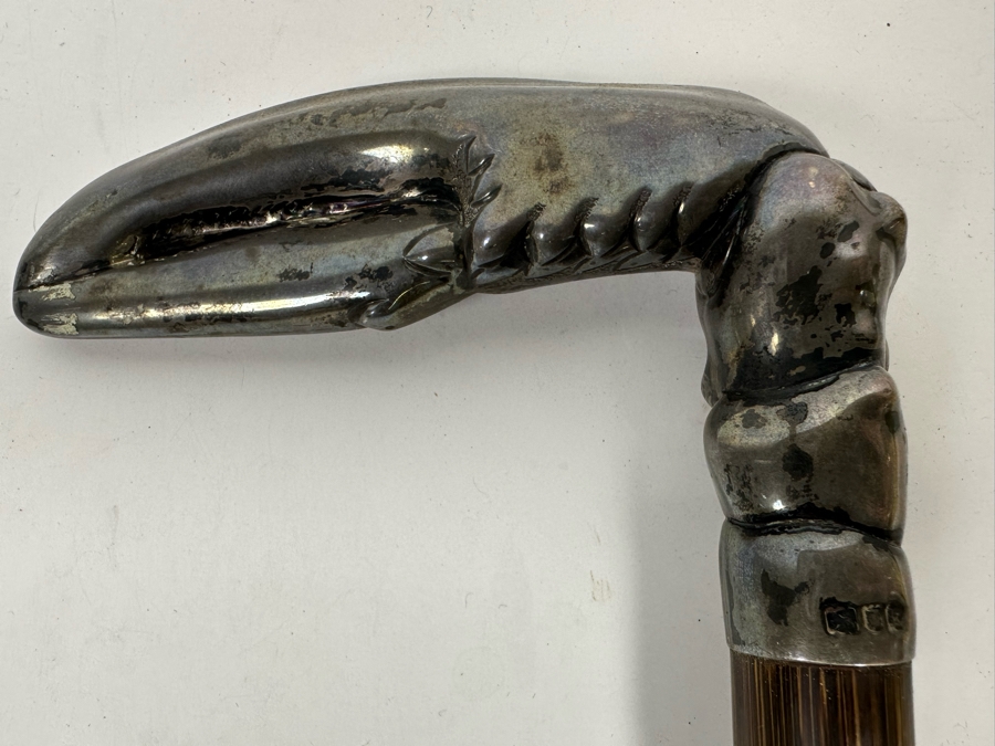 Antique 1905 London England Sterling Silver Lobster Claw Handle Wooden Cane 36L [Photo 9]