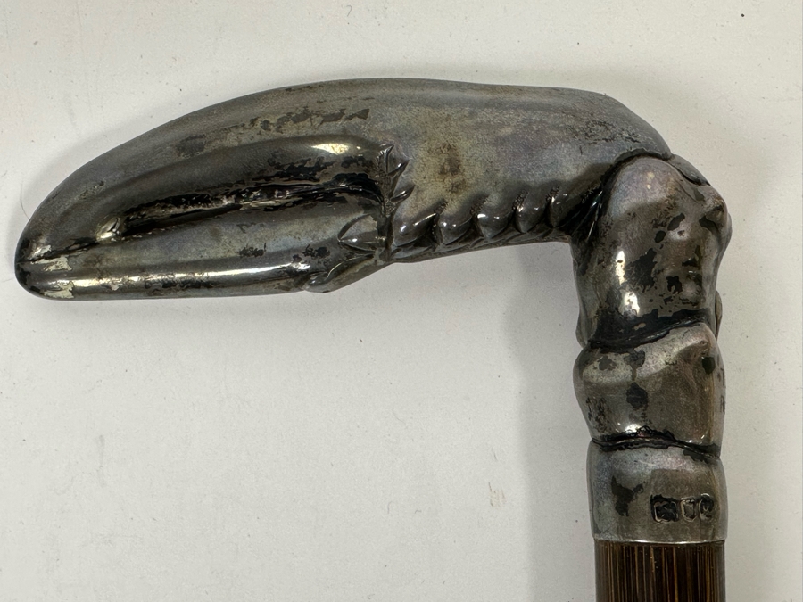 Antique 1905 London England Sterling Silver Lobster Claw Handle Wooden Cane 36L [Photo 8]