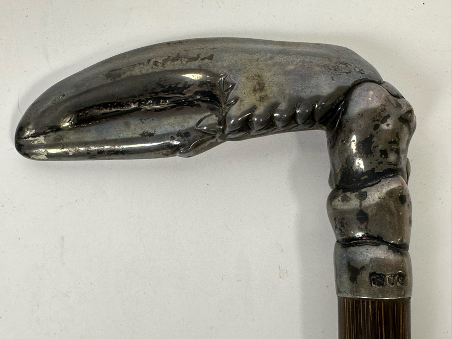 Antique 1905 London England Sterling Silver Lobster Claw Handle Wooden Cane 36L [Photo 7]