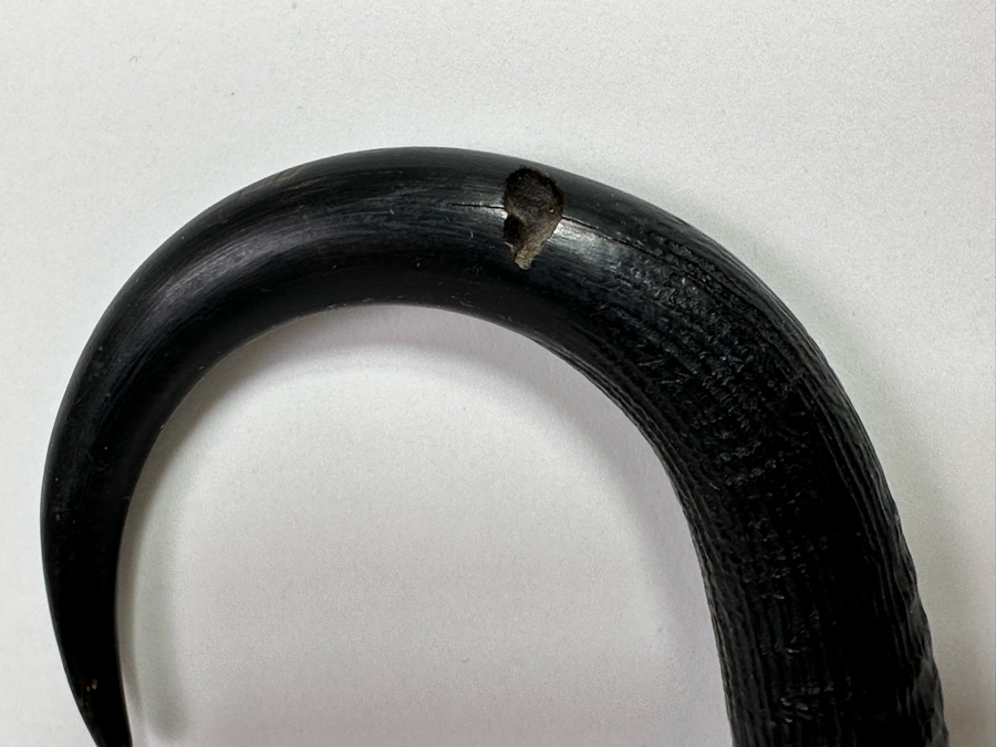 Antique Cane From Switzerland With Horn Handle 31L [Photo 6]
