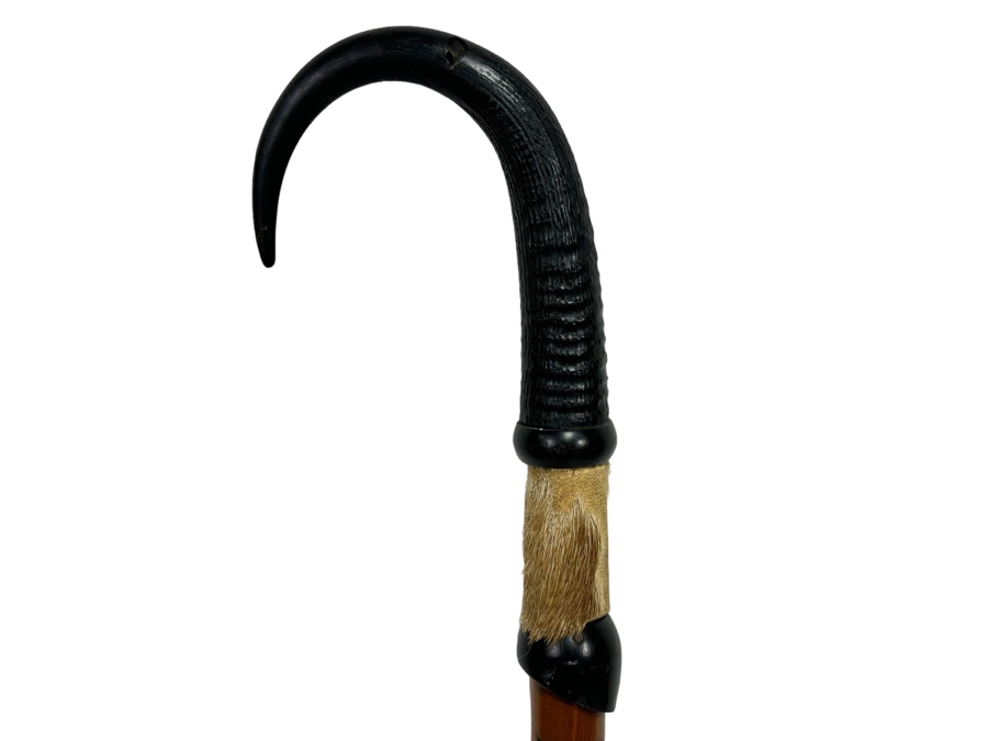 Antique Cane From Switzerland With Horn Handle 31L [Photo 2]