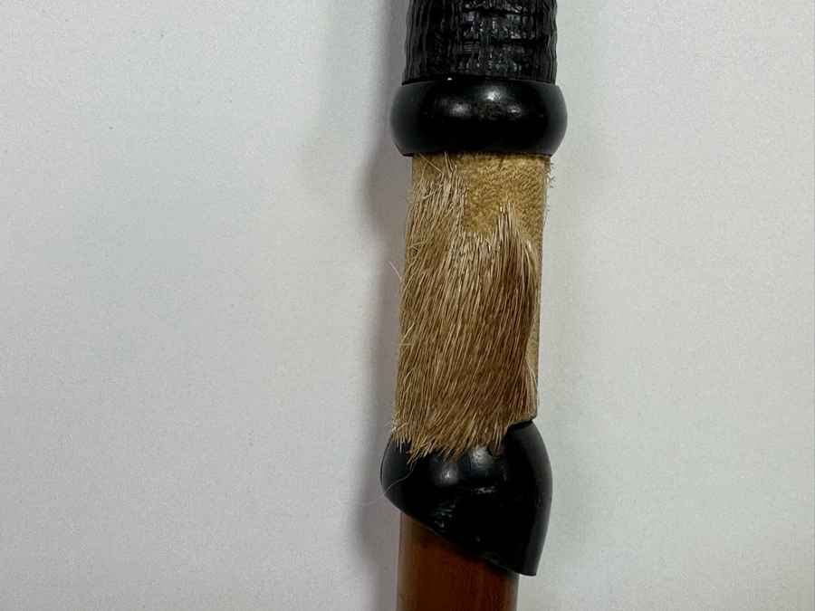 Antique Cane From Switzerland With Horn Handle 31L [Photo 5]