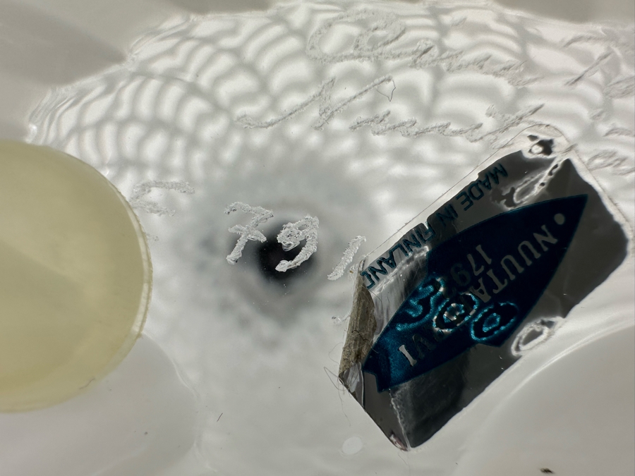 Oiva Toikka (Finland) Limited Edition Art Glass Bird Rayska Nuutajarvi By Iittala Signed And Numbered 791 Of 3,000 With Original Box 12W X 4D X 5.5H [Photo 15]