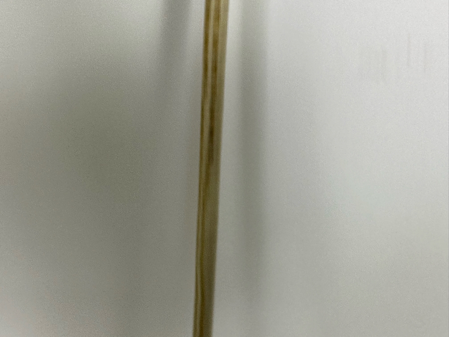 Antique Shark Vertebrae Horn Handle Cane 31.5L [Photo 10]