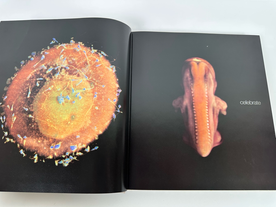 First Edition Hardcover Book From Conception To Birth A Life Unfolds By Alexander Tsiaras [Photo 3]