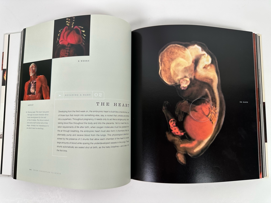 First Edition Hardcover Book From Conception To Birth A Life Unfolds By Alexander Tsiaras [Photo 5]