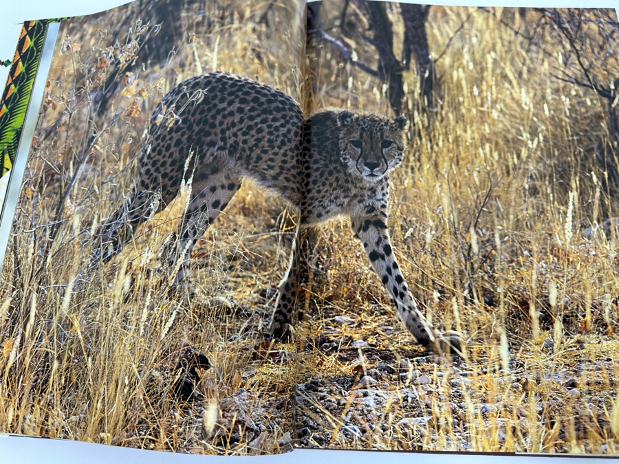Hardcover Coffee Table Book Africa By Olivier Follmi Retails $55 [Photo 6]