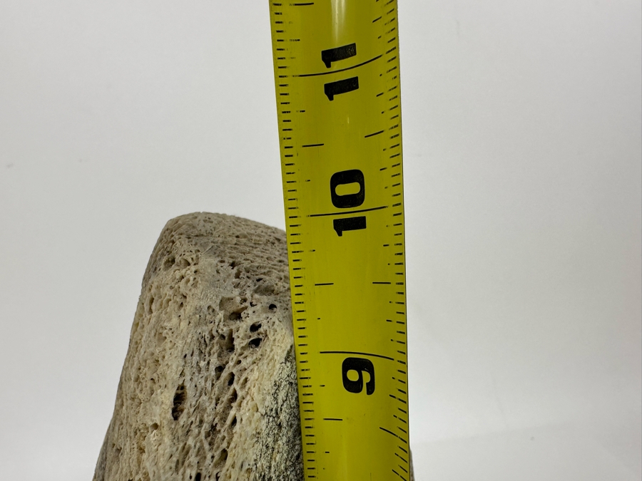 Vintage Inuit Hand Carved Whale Bone Owl Sculpture 6.5W X 5.5D X 10H [Photo 13]