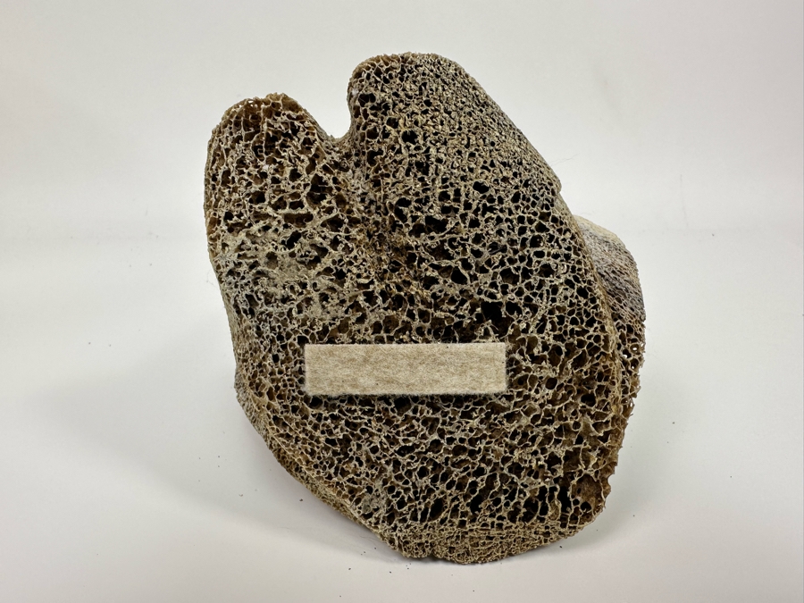 Vintage Inuit Hand Carved Whale Bone Owl Sculpture 6.5W X 5.5D X 10H [Photo 11]