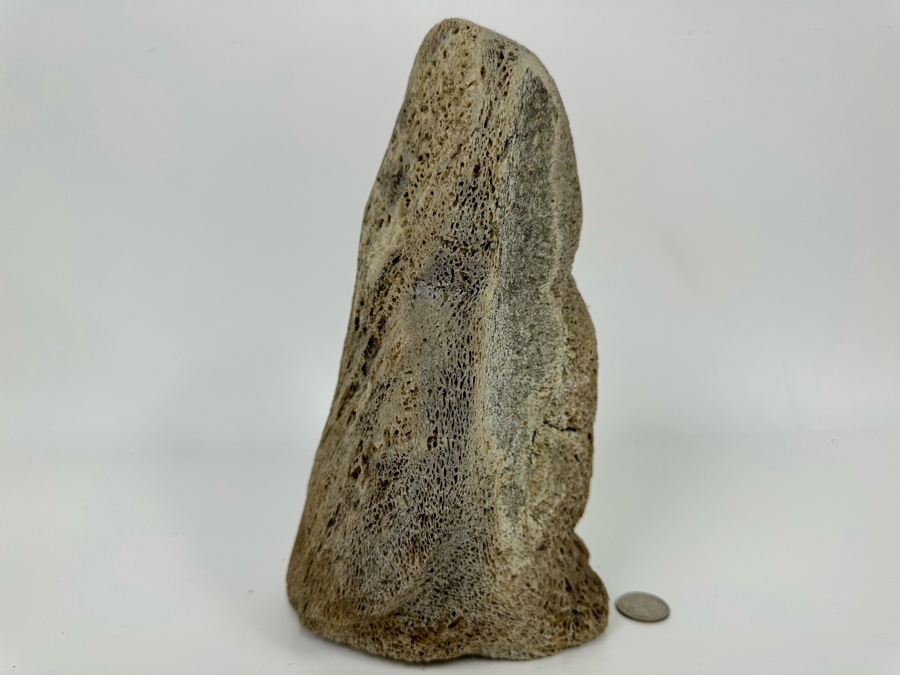 Vintage Inuit Hand Carved Whale Bone Owl Sculpture 6.5W X 5.5D X 10H [Photo 9]